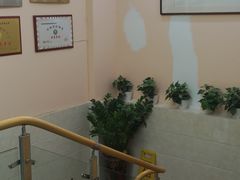 -动物缘宠物医院·骨科·猫科(西二环店)
