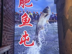 -肥鱼屯活鱼锅(惠工街店)