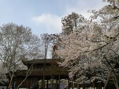 -堤角公园