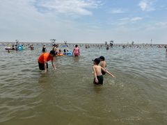-碧海金沙