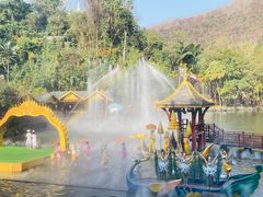 -西双版纳原始森林公园