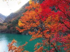 -叠溪松坪沟景区