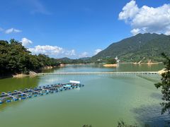 -广州市流溪河国家森林公园