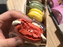 -多乐之日(富力城店)