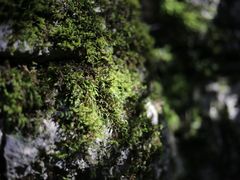 -山王坪喀斯特国家生态公园