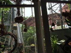 -海边的猫和咖啡馆