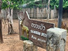 -清迈夜间动物园