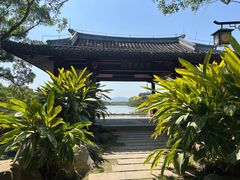 -江心屿景区