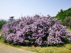 -国家植物园南园