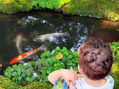 -Chom Cafe and Restaurant