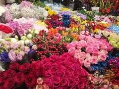 -朝来春花卉市场