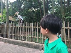 -新加坡飞禽公园