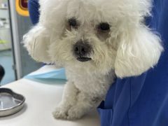 -美美宠物诊疗中心·异宠·骨科(滨江东信分院)