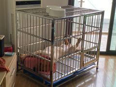 -联合动物医院(光谷诊疗中心)