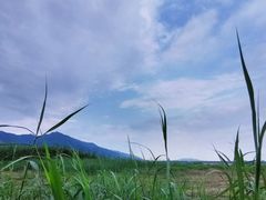 -羚羊峡古栈道森林公园