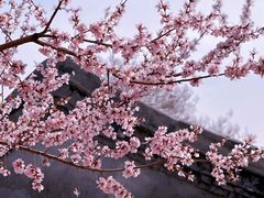 -三里河公园