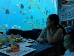 -瑞德姆美人鱼海底演艺主题餐厅(亚龙湾店)