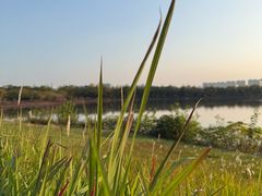 -盘龙城国家考古遗址公园