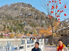 -紫光园·烤鸭·北京菜(团结湖店)