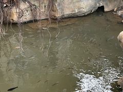 -河源客天下-温泉小镇