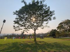 -中国科学院西双版纳热带植物园