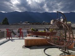 -喵屿·大理花园猫咖