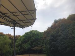 -苏州河梦清园环保主题公园