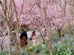 -玫瑰庄园·自助烧烤·烤全羊·团建拓展(龙泉山店)