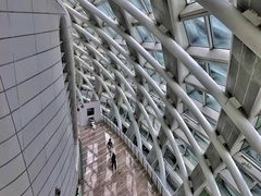 -凤凰中心