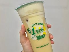 四季春茶-1点点(长龙地铁店)