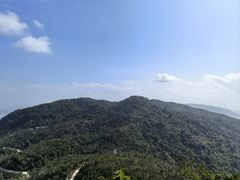 -三亚亚龙湾人间天堂鸟巢度假村
