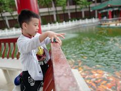 -广东圆玄道观