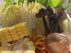 -探窝·竹笙椰子鸡(杨箕店)