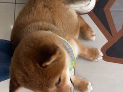 -宠颐生·都会宠物医院