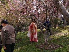 -堤角公园