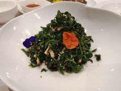 茶香干山野菜-大鸭梨烤鸭(石佛营店)