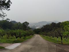 -广州莲花山旅游区
