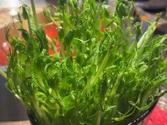 -辣伍鲜毛肚老火锅(元一店)