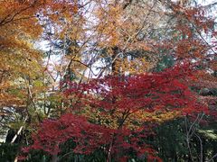 -上海市龙华烈士陵园