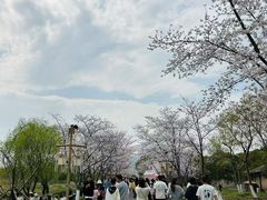 -长田漾湿地公园