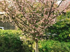 -卯时·龙光雅宴·精致锡帮菜(惠山古镇店)