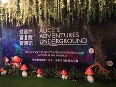 -爱丽丝冒险奇遇记