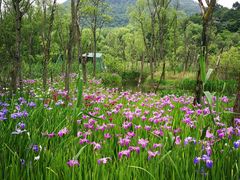 -西湖风景区-江洋畈生态公园