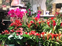 -三旗百汇商品城