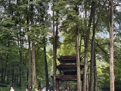 -青城山