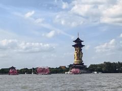 -溱湖国家湿地公园