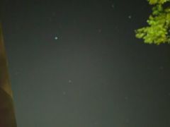 -春花秋色城市公园