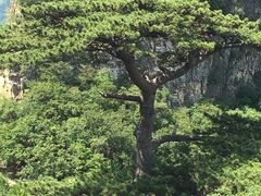 -圣莲山风景区
