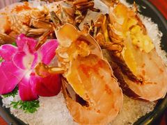 -东海怡品海鲜豆捞(舟宿夜江店)