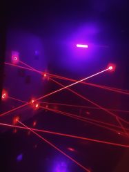 -奇幻丛林(佛罗伦萨小镇店)